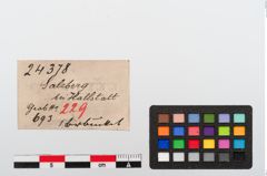 Etiketten zu Bronzeknopf (NHMW-PRAE-024378)